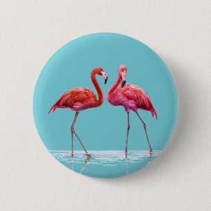 botón Flamingos