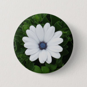 botón Flor blanca