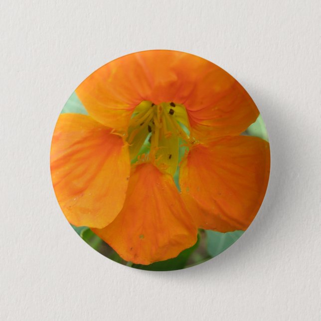 botón Flor de bonito Nasturtium (Anverso)