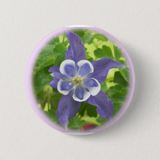 botón Flor de Columbina Aquilegia (Anverso)