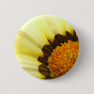 botón Flor de Gazania