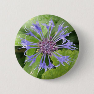 botón Flor de maíz azul
