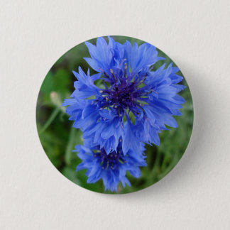 botón Flor de maíz azul