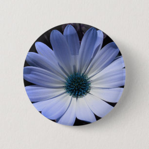 botón Flor de margarita azul