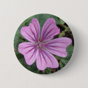 botón Flor violeta de bonito