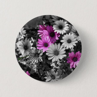 botón floral BW de African Daisies