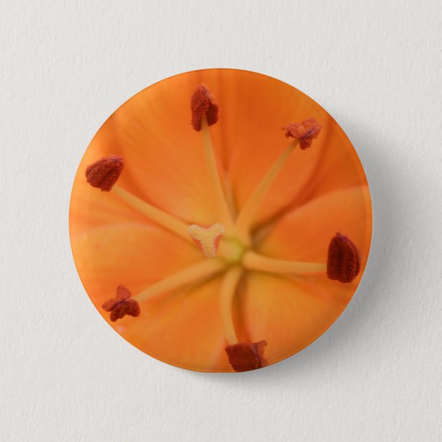 botón Floral de Lily naranja (Anverso)