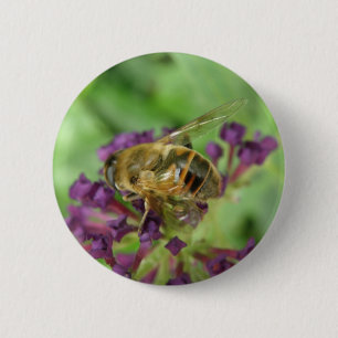botón Flores de abeja y morado