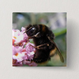 botón Flores de abejorro y rosa ocupado