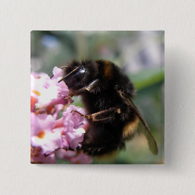 botón Flores de abejorro y rosa ocupado (Anverso)