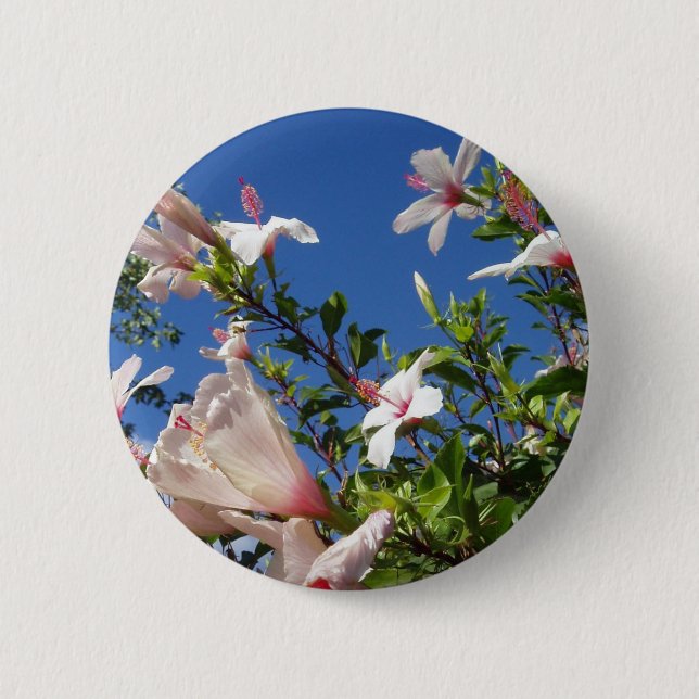 botón Flores de Hibiscus (Anverso)