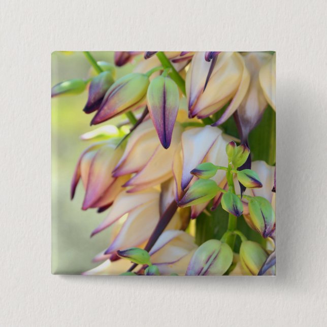 botón flores yucca (Anverso)