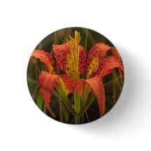 botón "Florida Lily"
