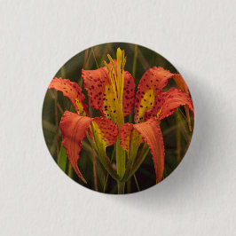 botón "Florida Lily"