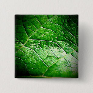 Botón frondoso del verde 1