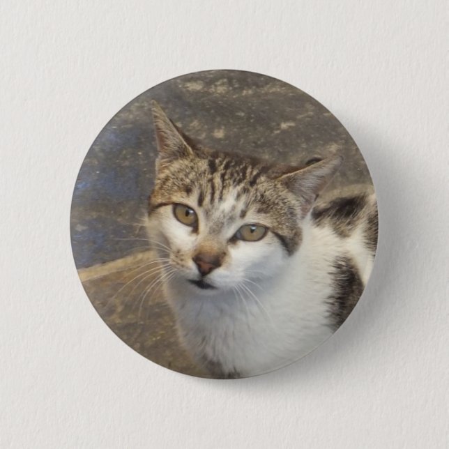 botón Gato (Anverso)