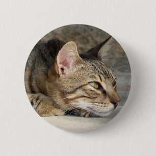 botón Gato de tabla