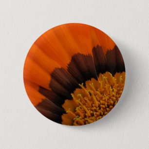 botón Gazania