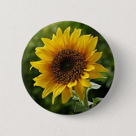 botón Girasol
