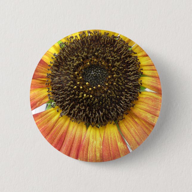 botón girasol naranja (Anverso)