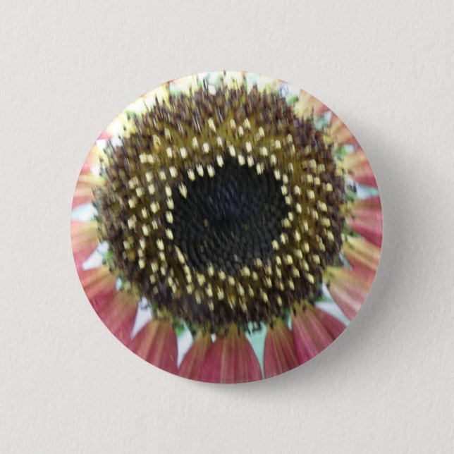 botón Girasol rosado (Anverso)