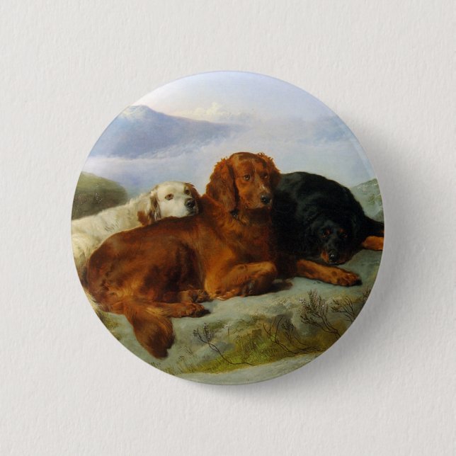 botón Golden Retriever, Irish y Gordon Setter (Anverso)