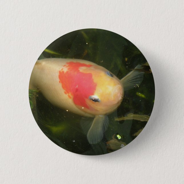 botón Goldfish (Anverso)