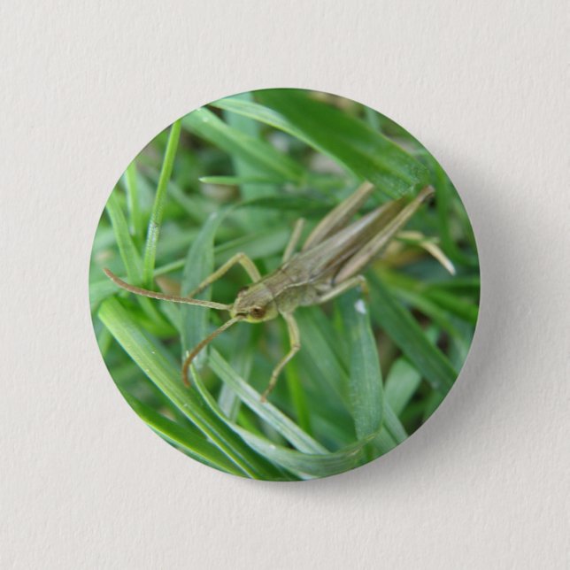 botón Grasshopper (Anverso)