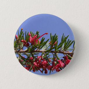 botón Grevillea