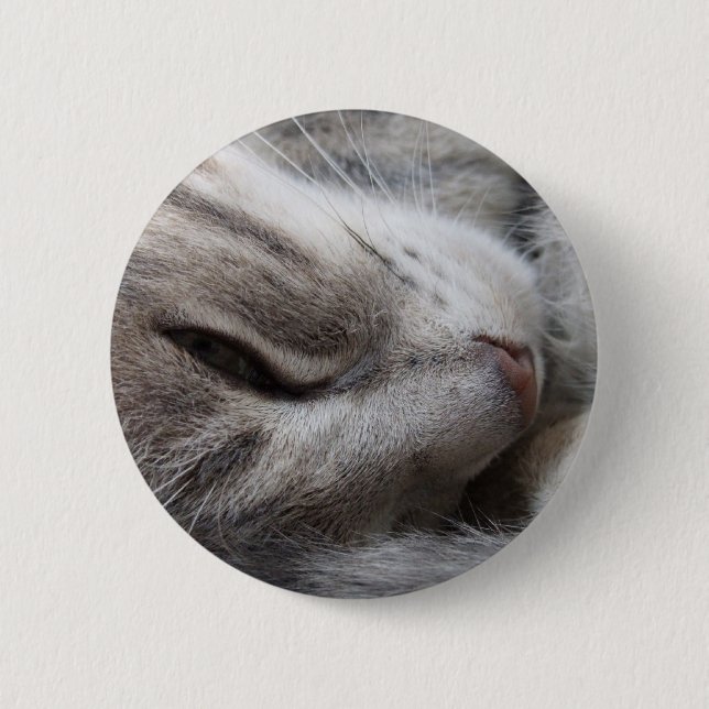 Botón gris del gato (Anverso)