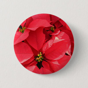 botón Happy Holiday_