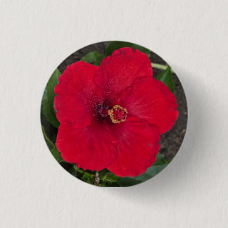 botón Hibiscus