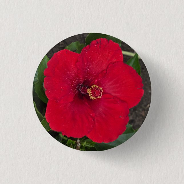 botón Hibiscus (Anverso)