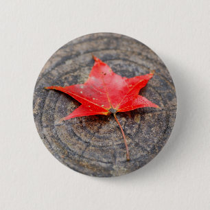 botón Hoja de otoño al cerrar sesión
