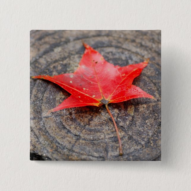 botón Hoja de otoño en el cuadrado de registro (Anverso)