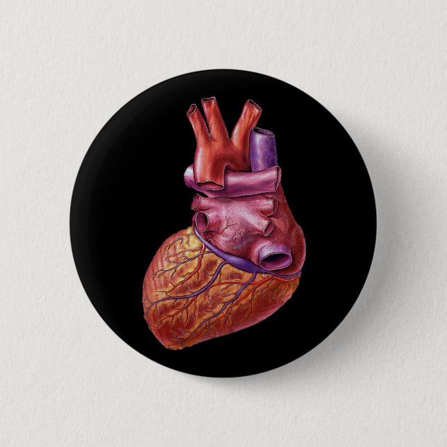 Botón humano del corazón (Anverso)