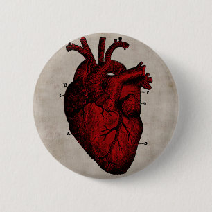 Botón humano del corazón