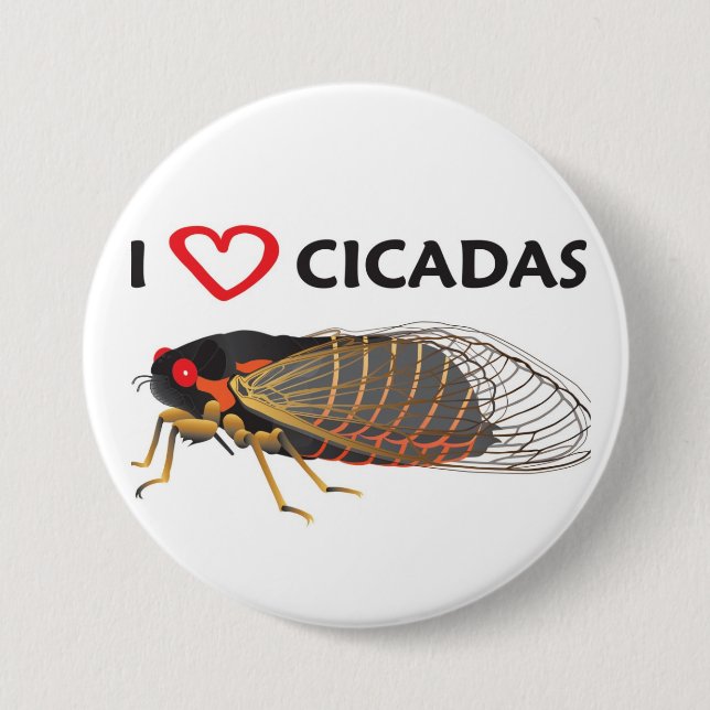 Botón "I love Cicada" (Anverso)
