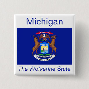 Botón Indicador de Michigan