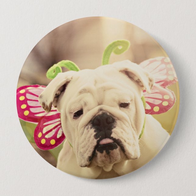 Botón inglés de la foto de la mariposa del bulldog (Anverso)