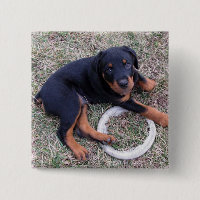 botón "Inocente" de Heidi Rottweiler