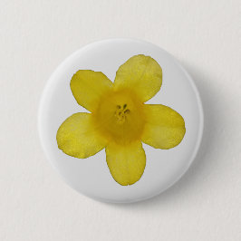 botón Jazmín amarillo