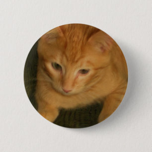 botón Kitty