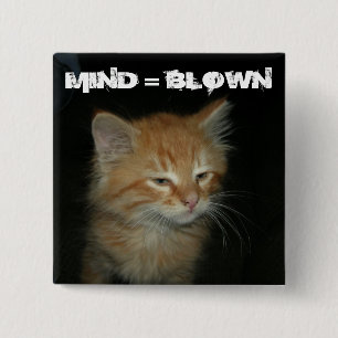 botón Kitty "MIND = BLOWN"