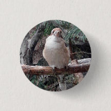 Botón Kookaburra