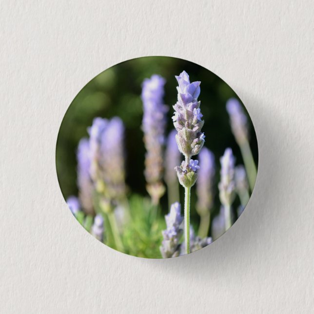 Botón Lavender / Insignia (Anverso)