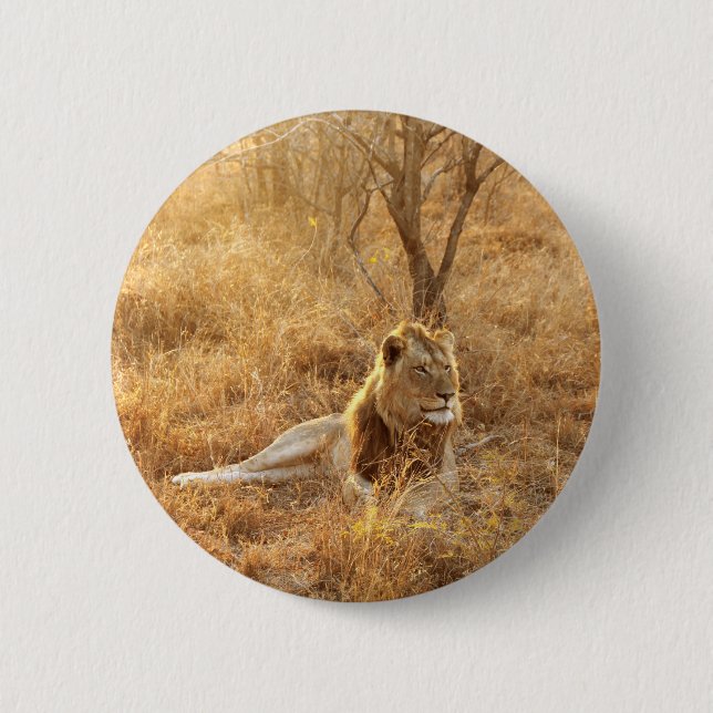 botón León (Anverso)