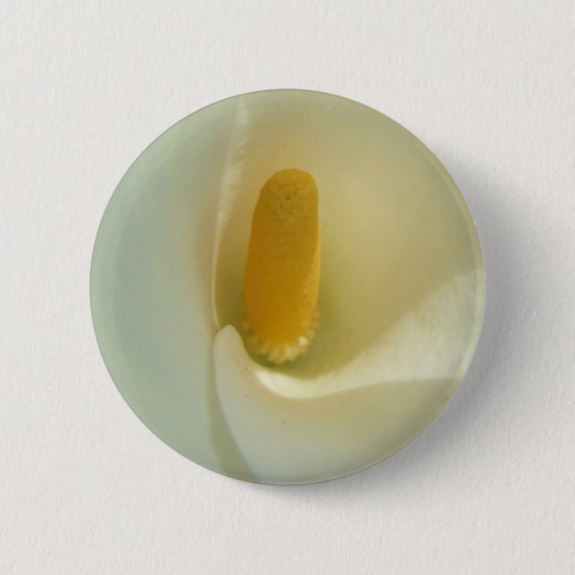 botón Lilly (Anverso)