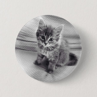 Botón lindo del gatito