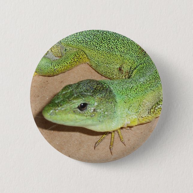 botón Lizard (Anverso)